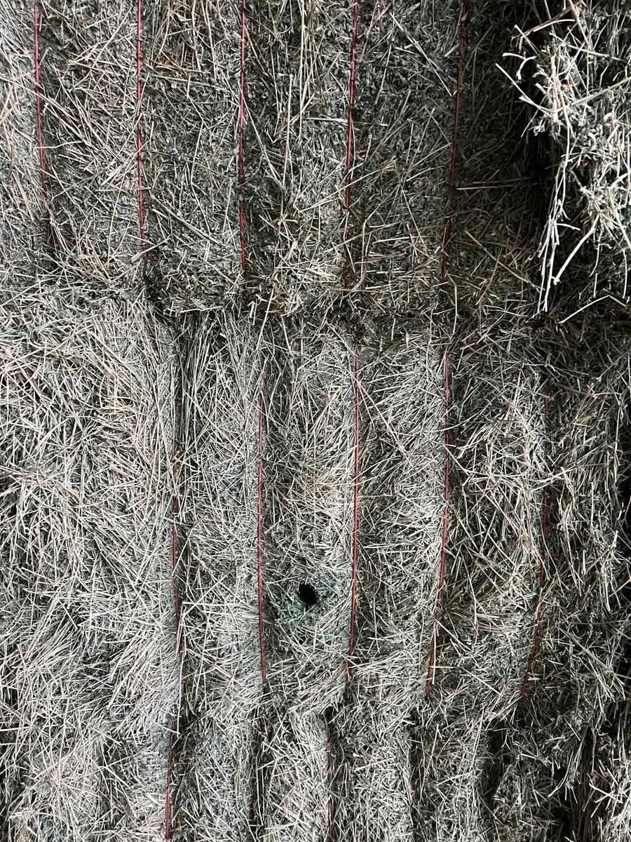 Batch 4990788000208458001 Image