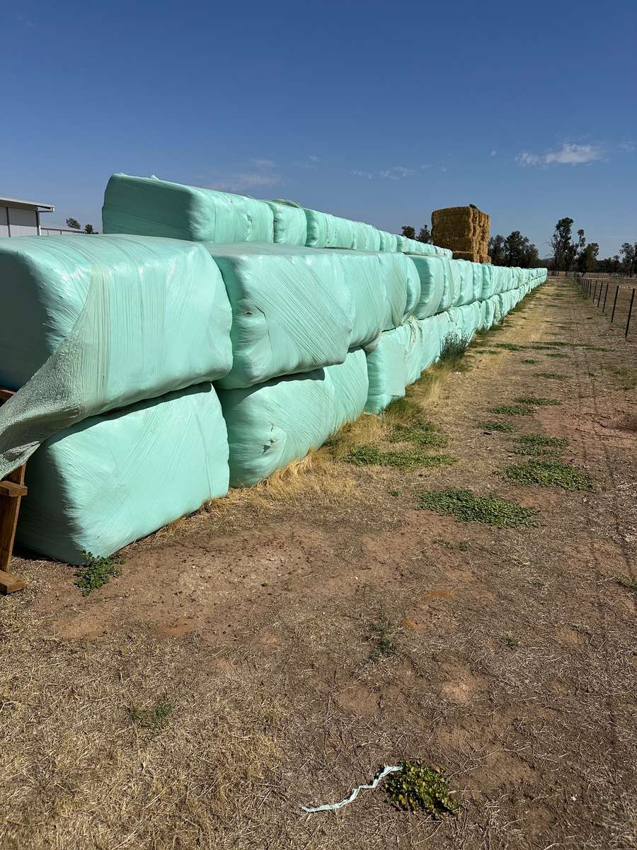 Batch 4990788000213156001 Image