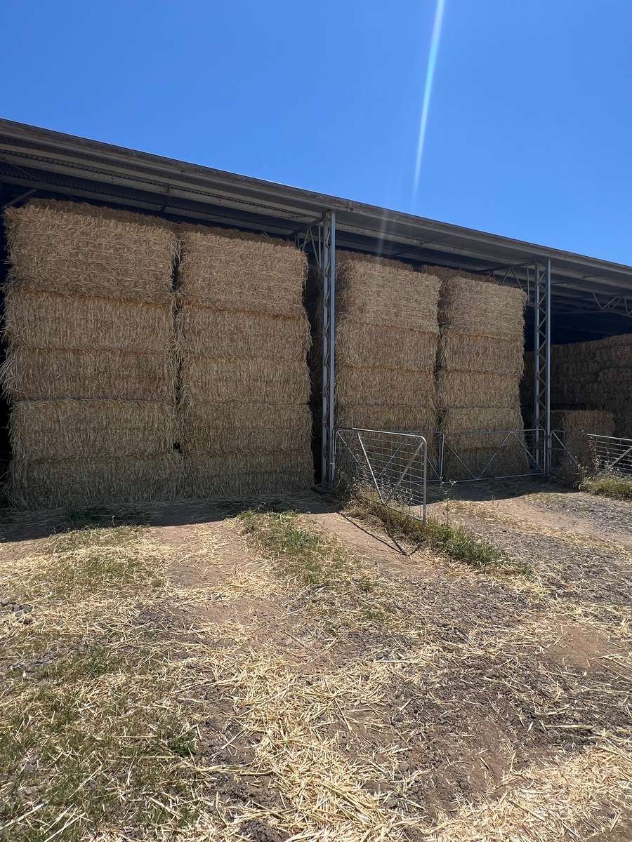 Batch 4990788000200908154 Image