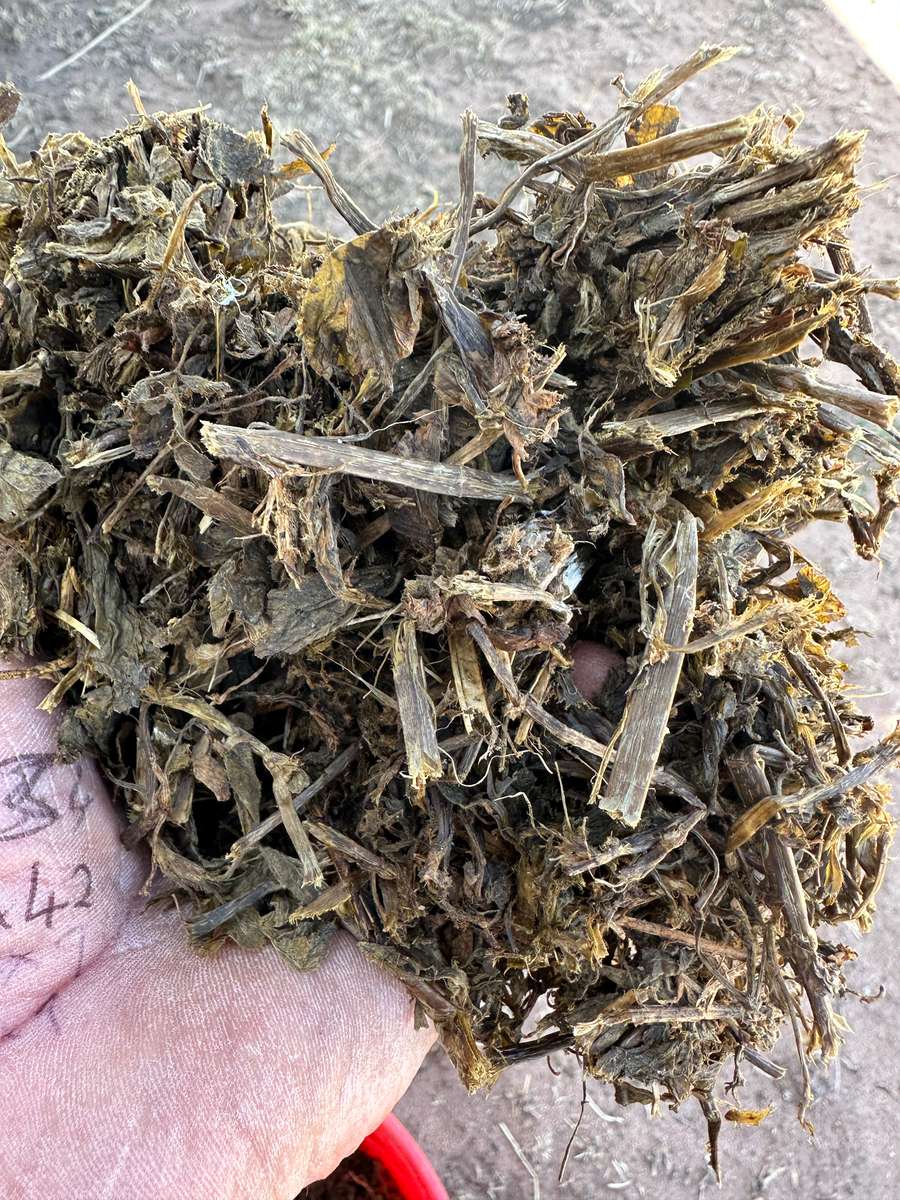 Batch 4990788000213156001 Image