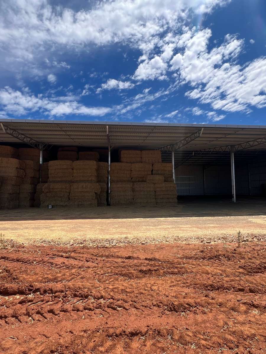 Batch 4990788000201322090 Image