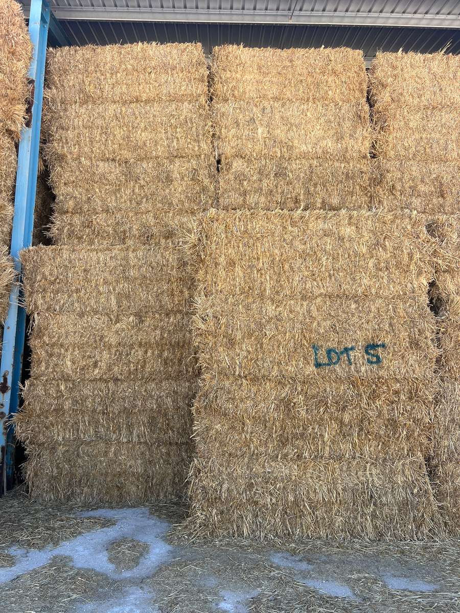 Batch 4990788000210937027 Image