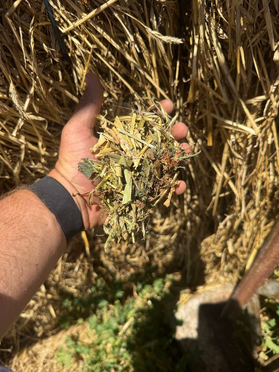 Batch 4990788000209399001 Image