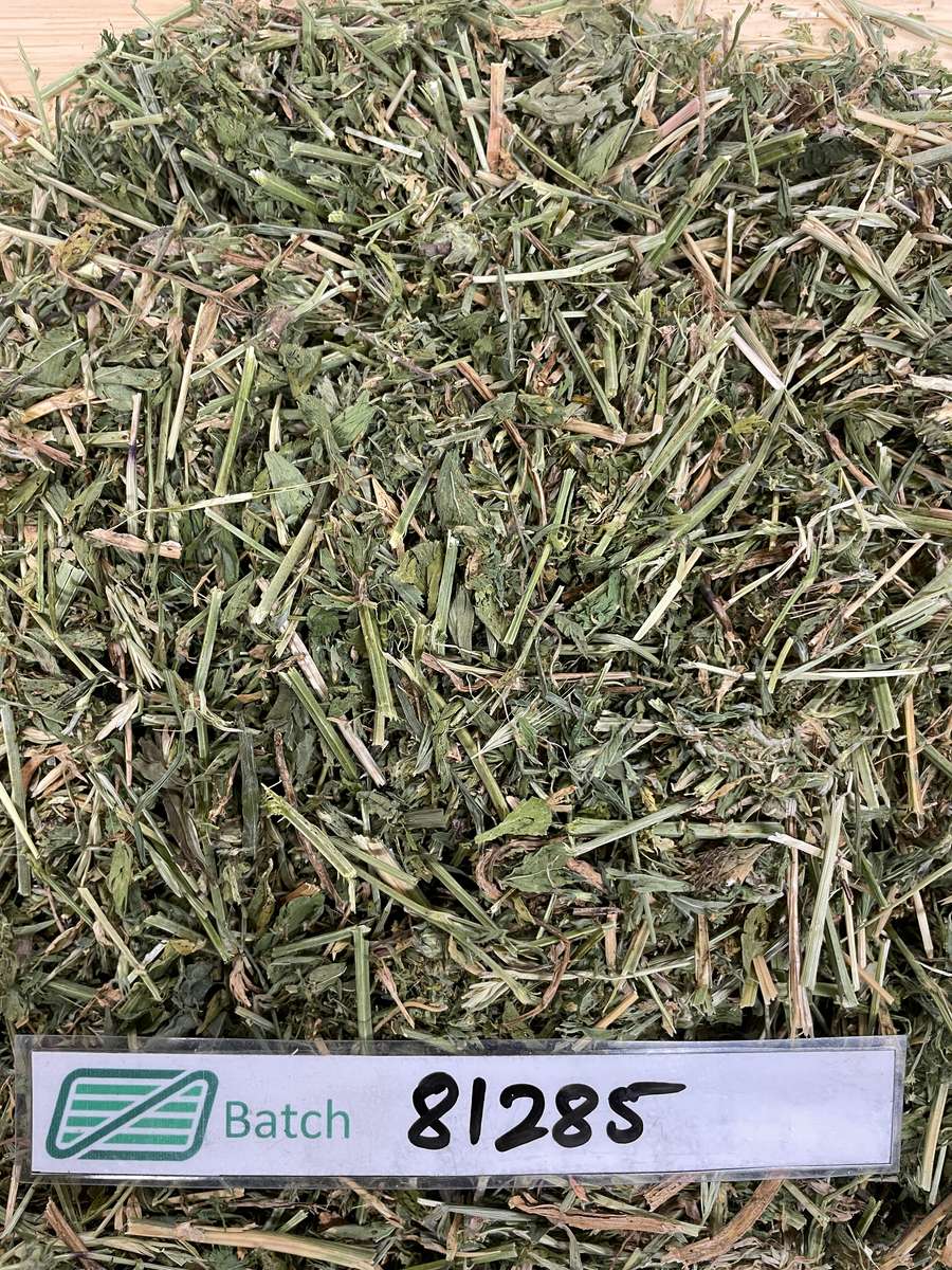 Batch 4990788000208715019 Image