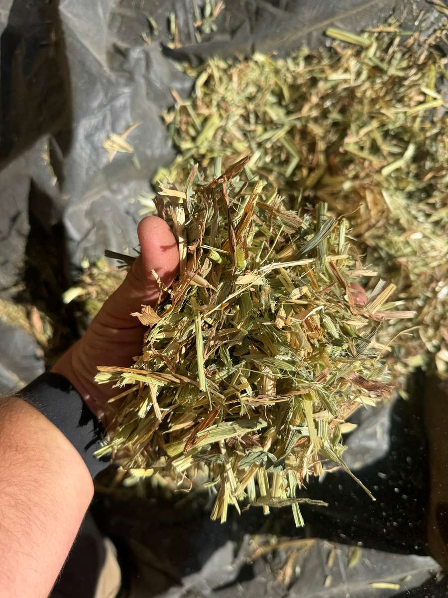 Batch 4990788000210038001 Image