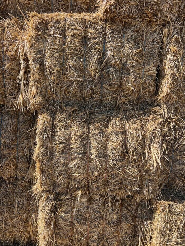 Batch 81365 Cereal Hay – Fodder Link Website