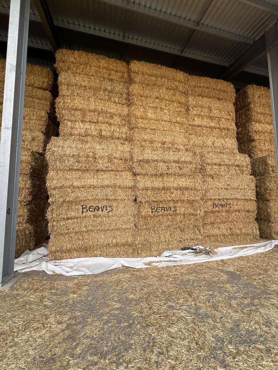 Batch 4990788000211128004 Image