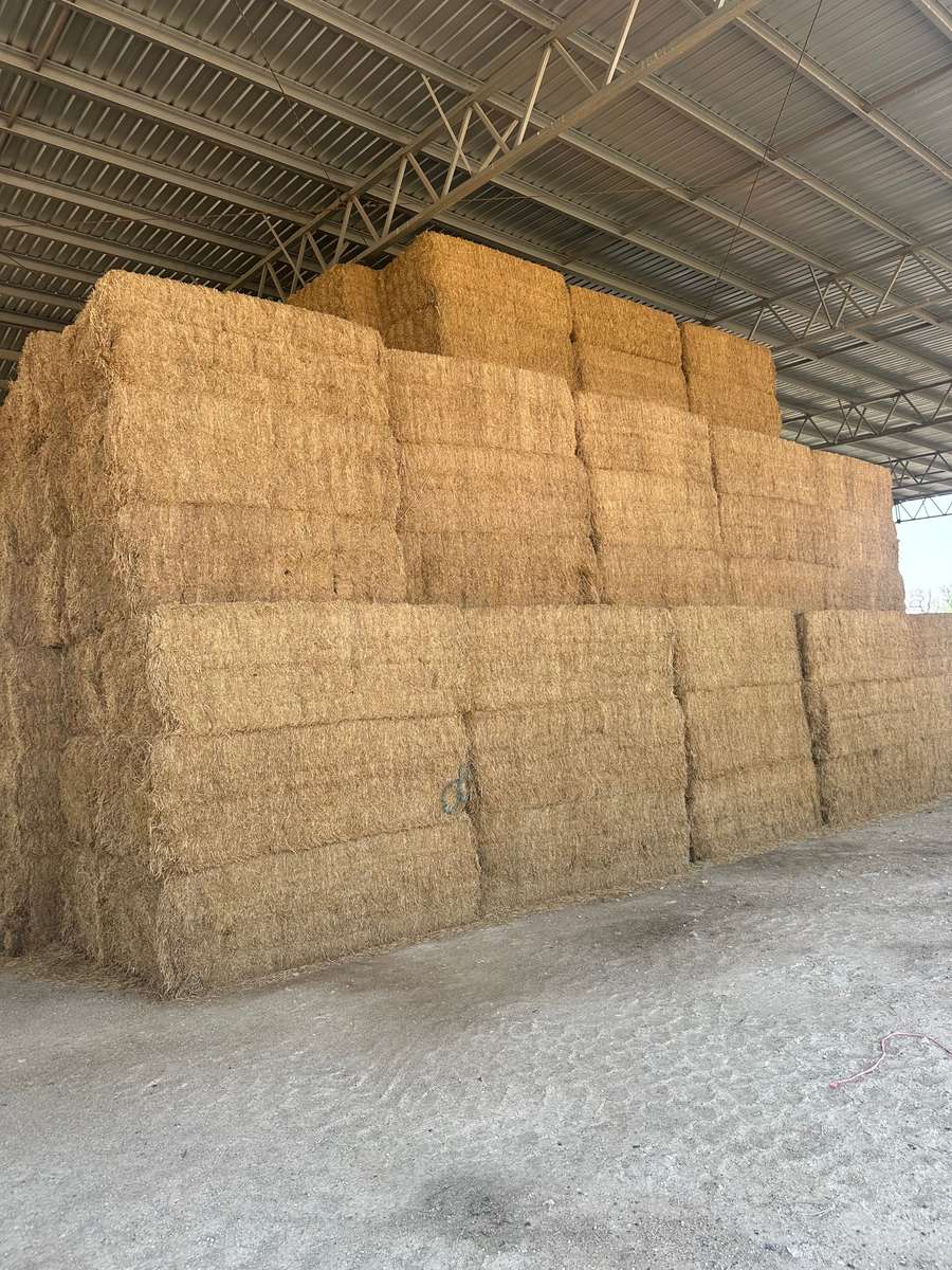 Batch 4990788000211765001 Image