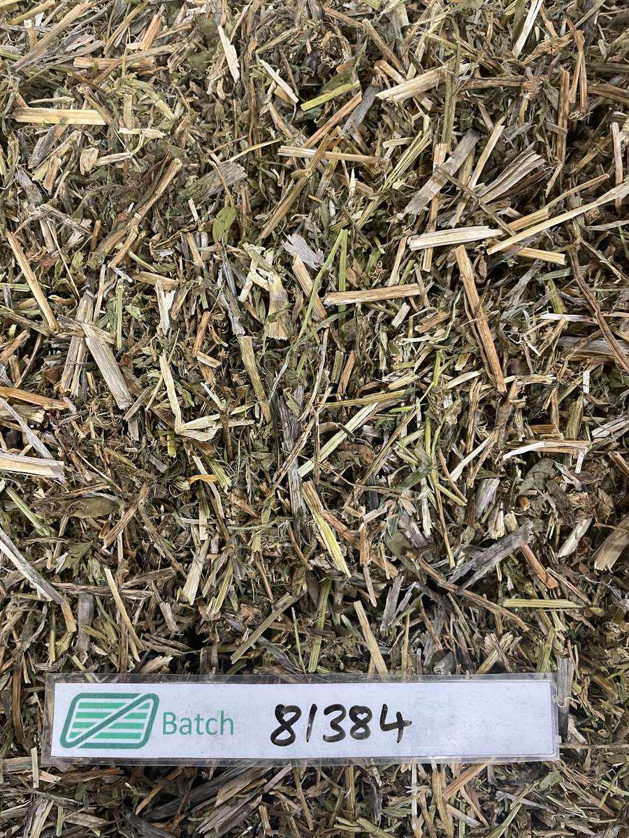 Batch 4990788000211171021 Image