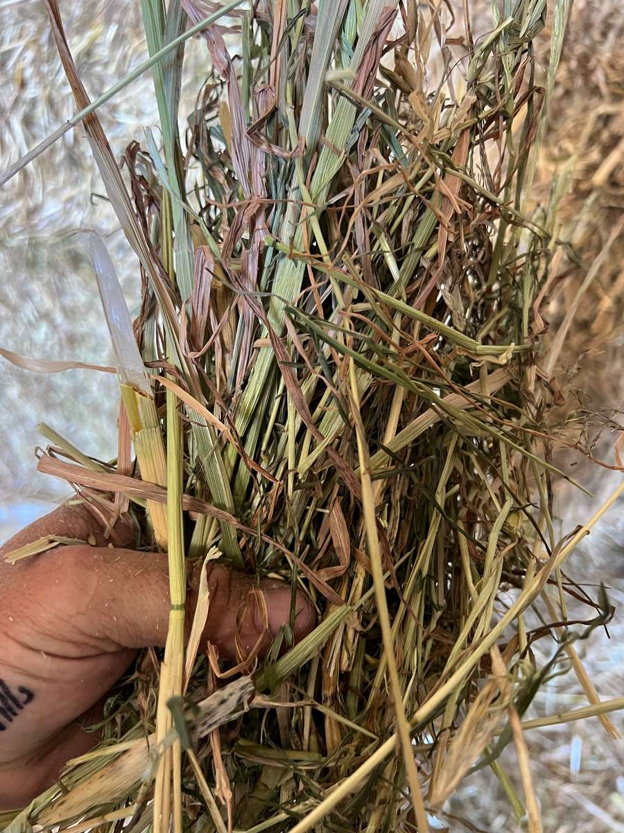 Batch 4990788000211870001 Image