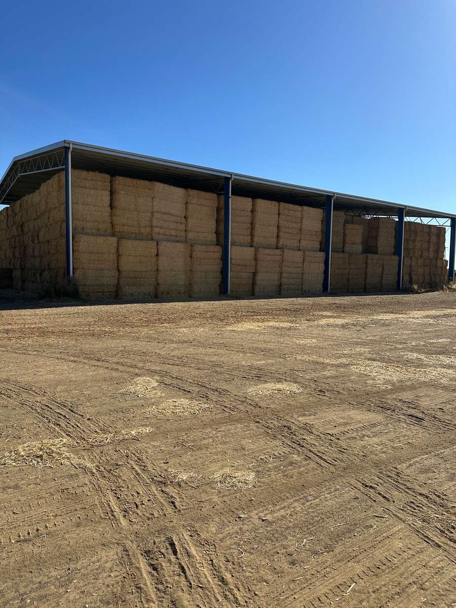 Batch 4990788000212936001 Image