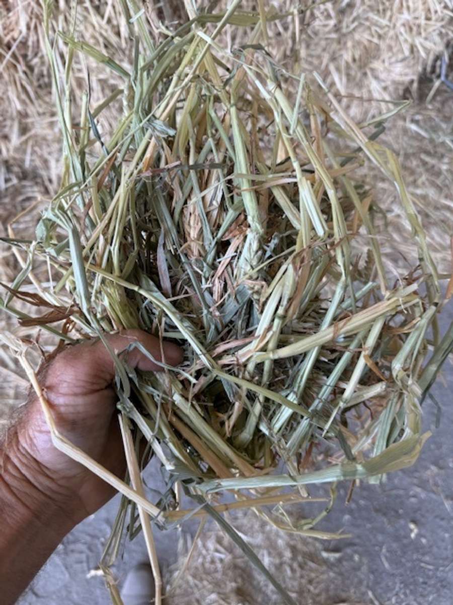 Batch 4990788000210080034 Image