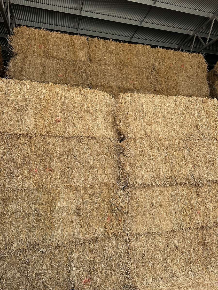 Batch 4990788000211533075 Image