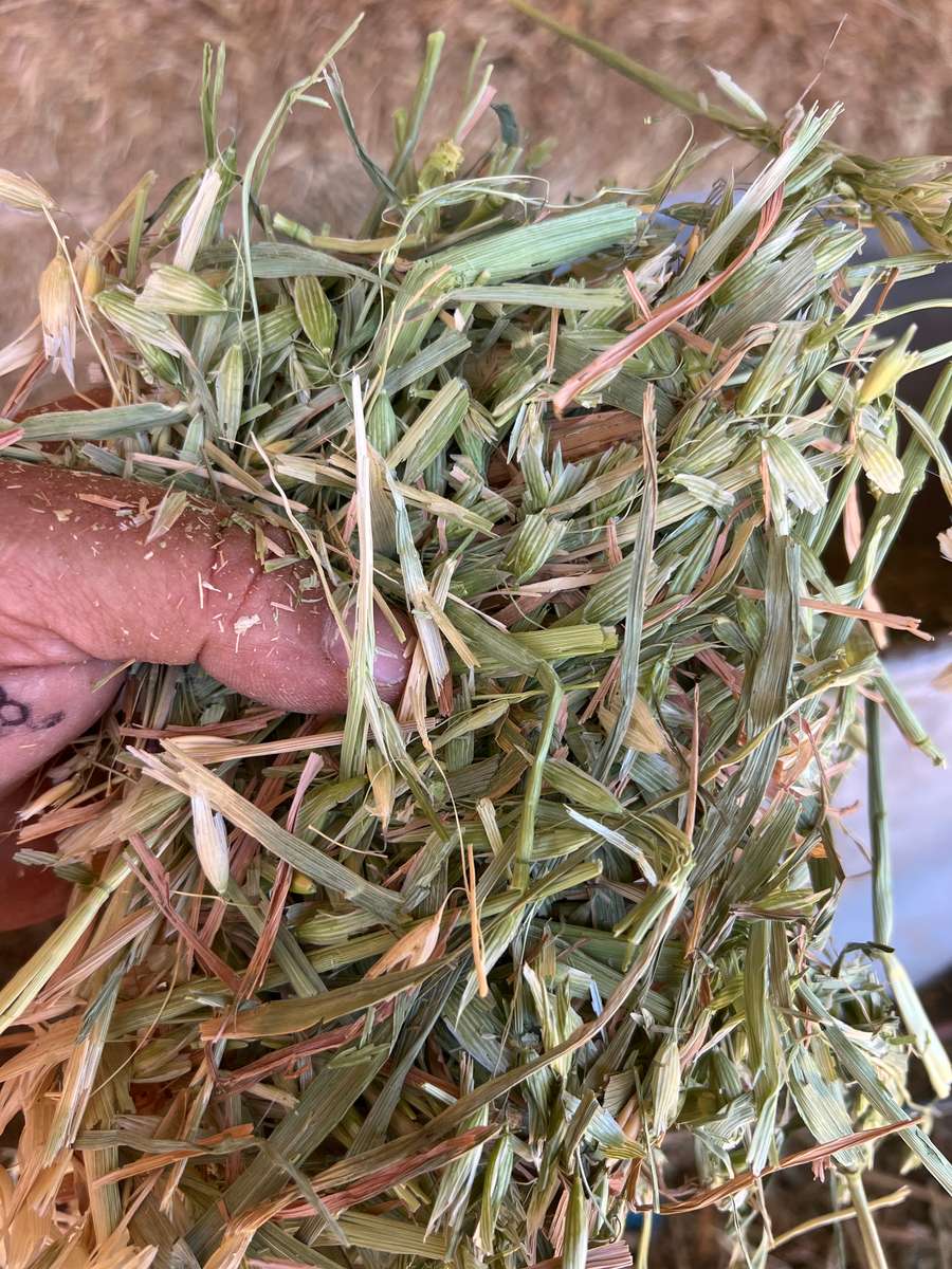 Batch 4990788000211537021 Image