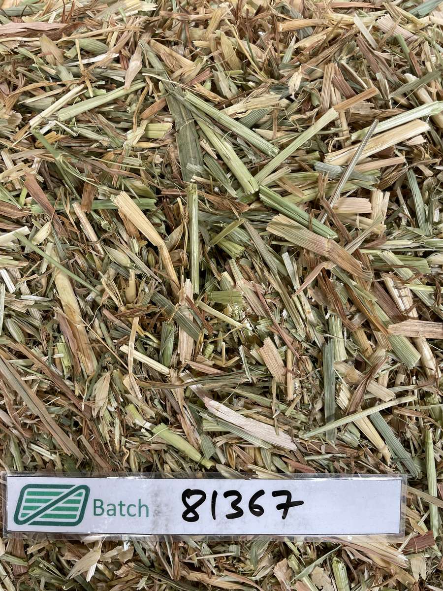 Batch 4990788000211010014 Image