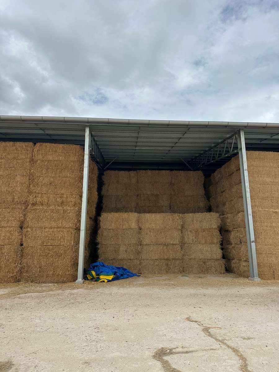 Batch 4990788000211533075 Image