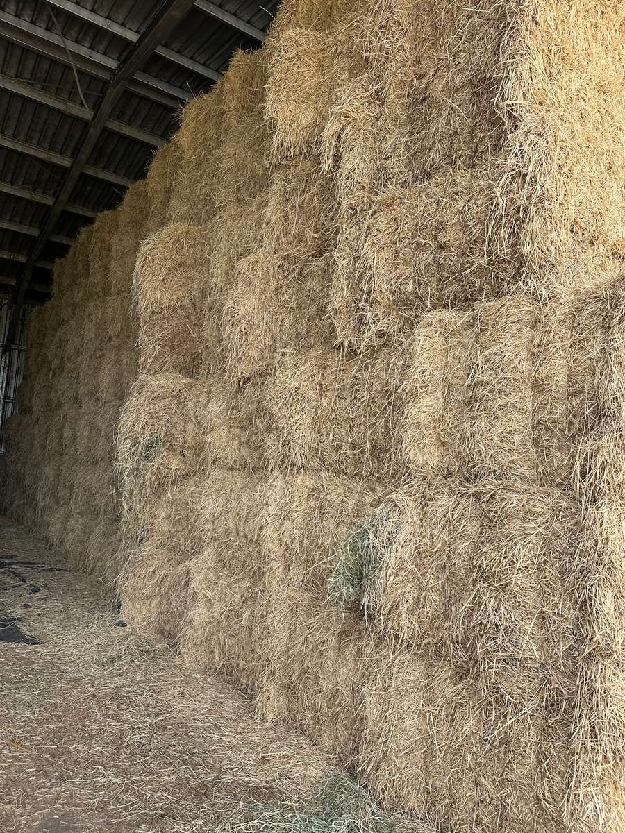 Batch 4990788000211787001 Image