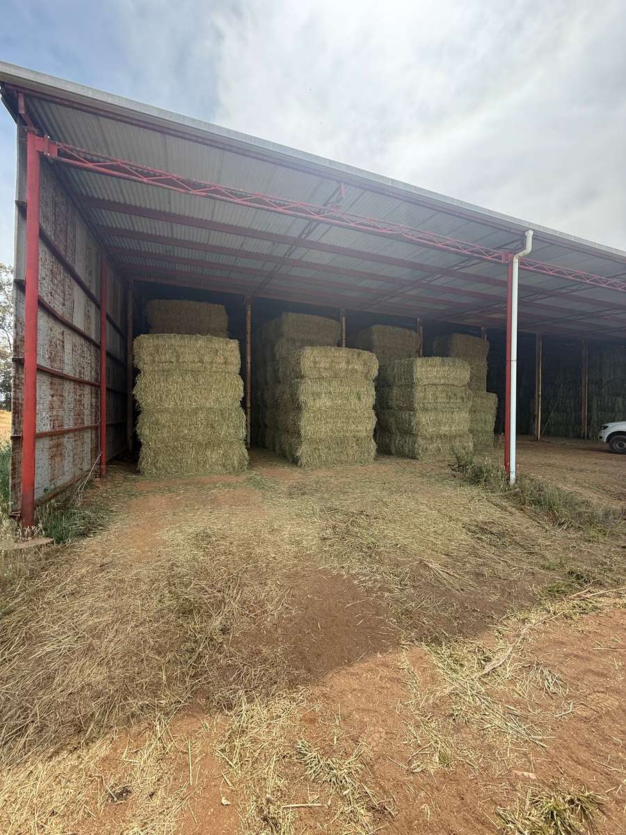 Batch 4990788000201487075 Image