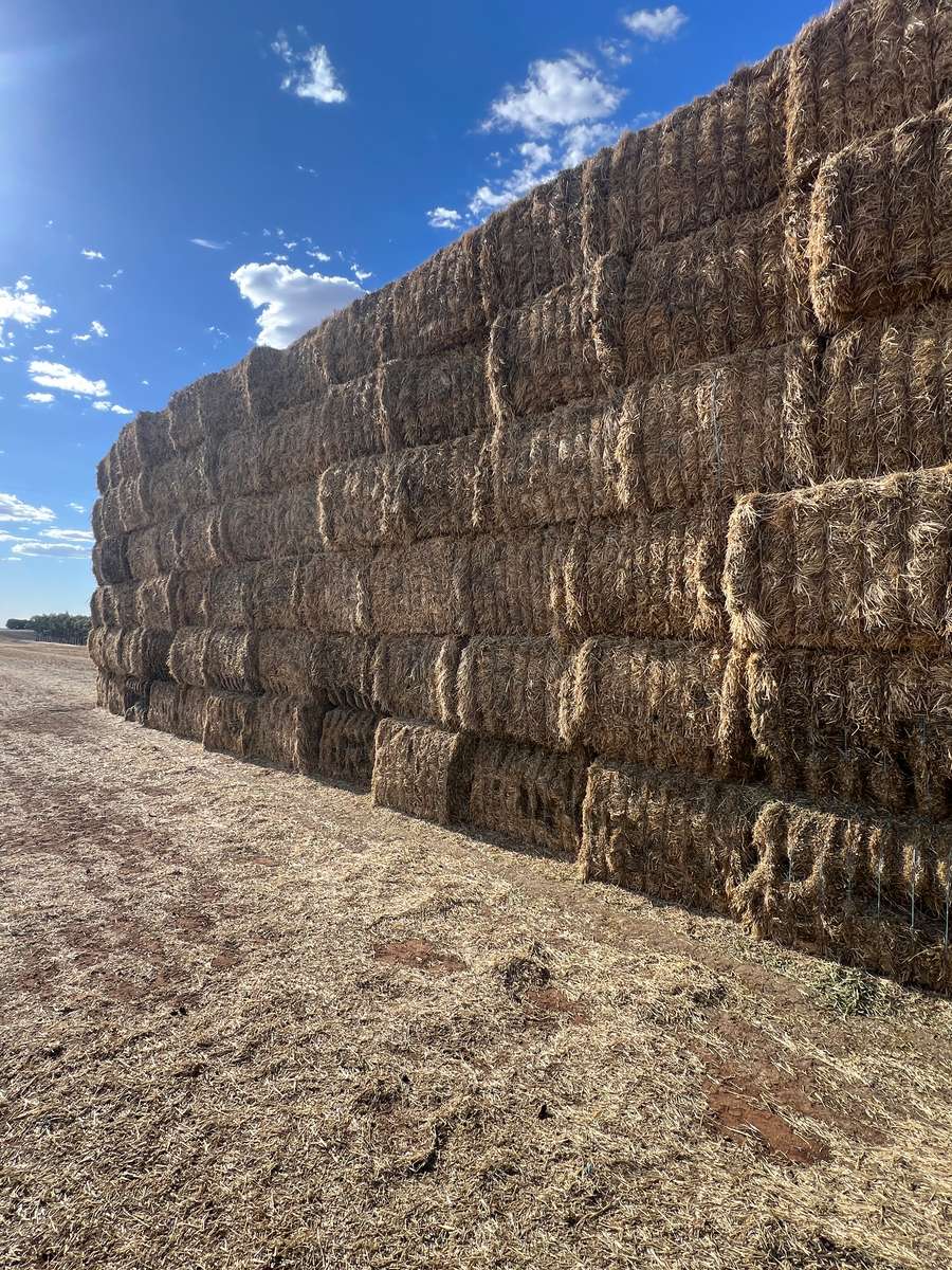 Batch 4990788000211153001 Image