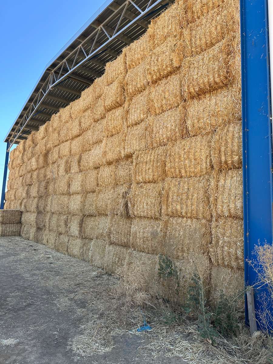 Batch 4990788000212936001 Image