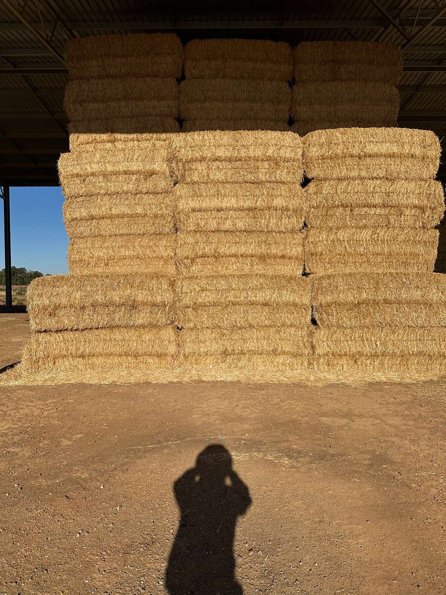 Batch 4990788000212996001 Image