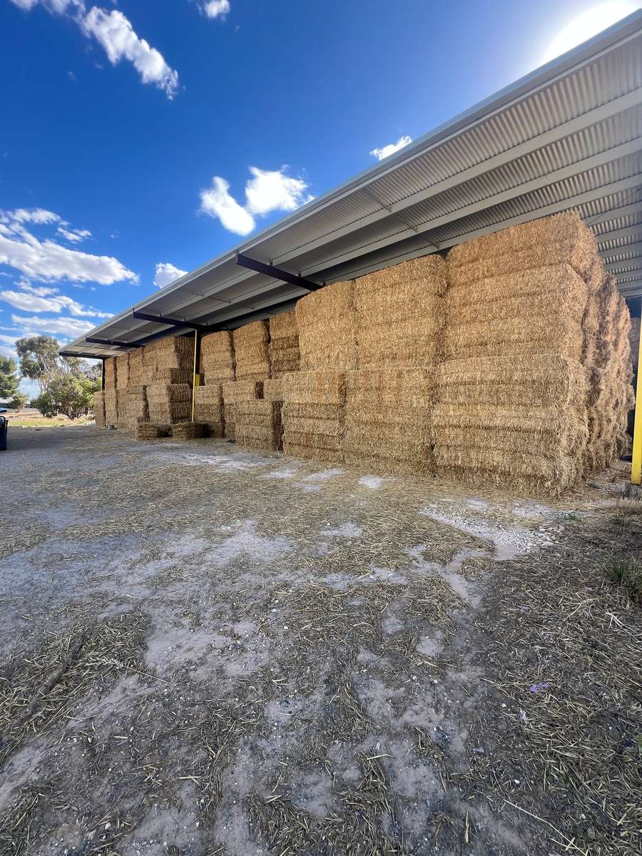 Batch 4990788000211066014 Image