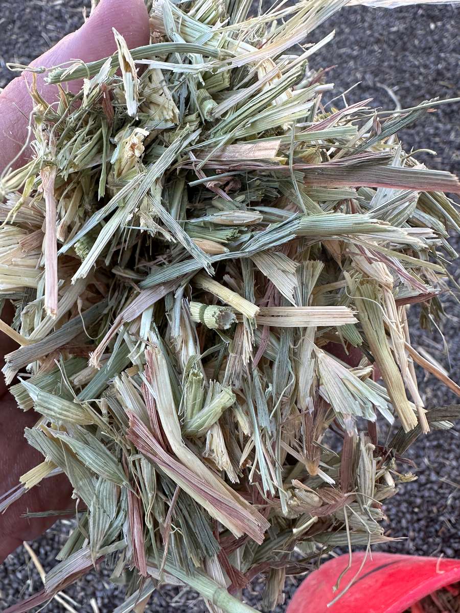 Batch 4990788000212725016 Image