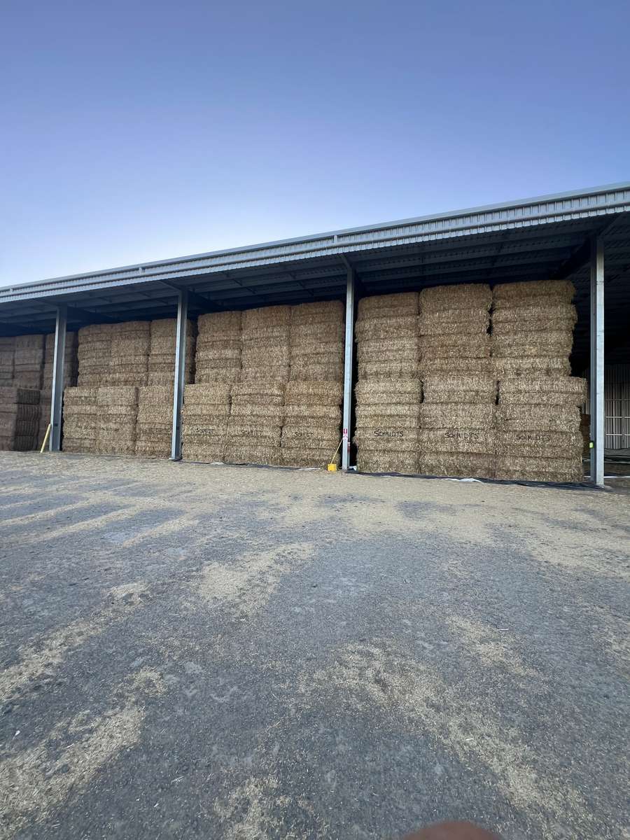 Batch 4990788000211142004 Image