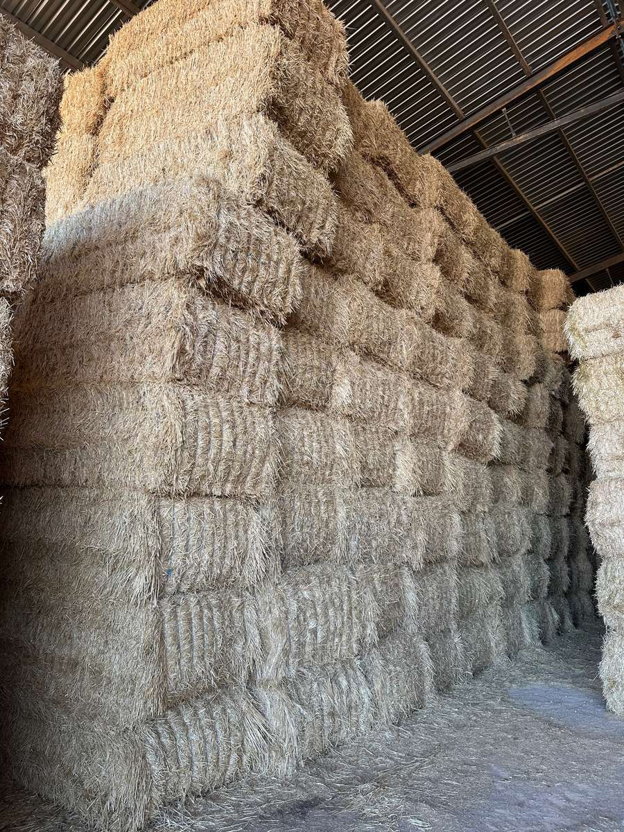 Batch 4990788000212741002 Image