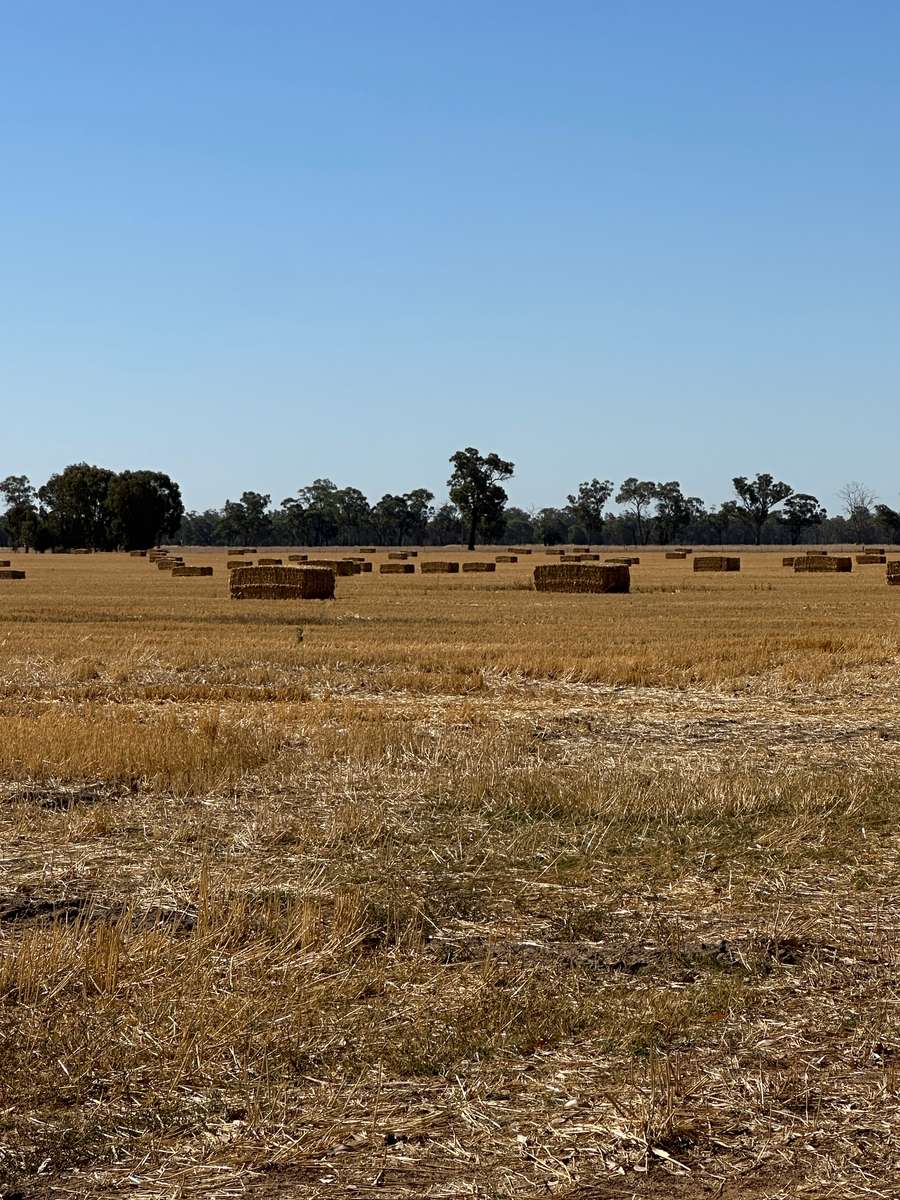 Batch 4990788000212896001 Image