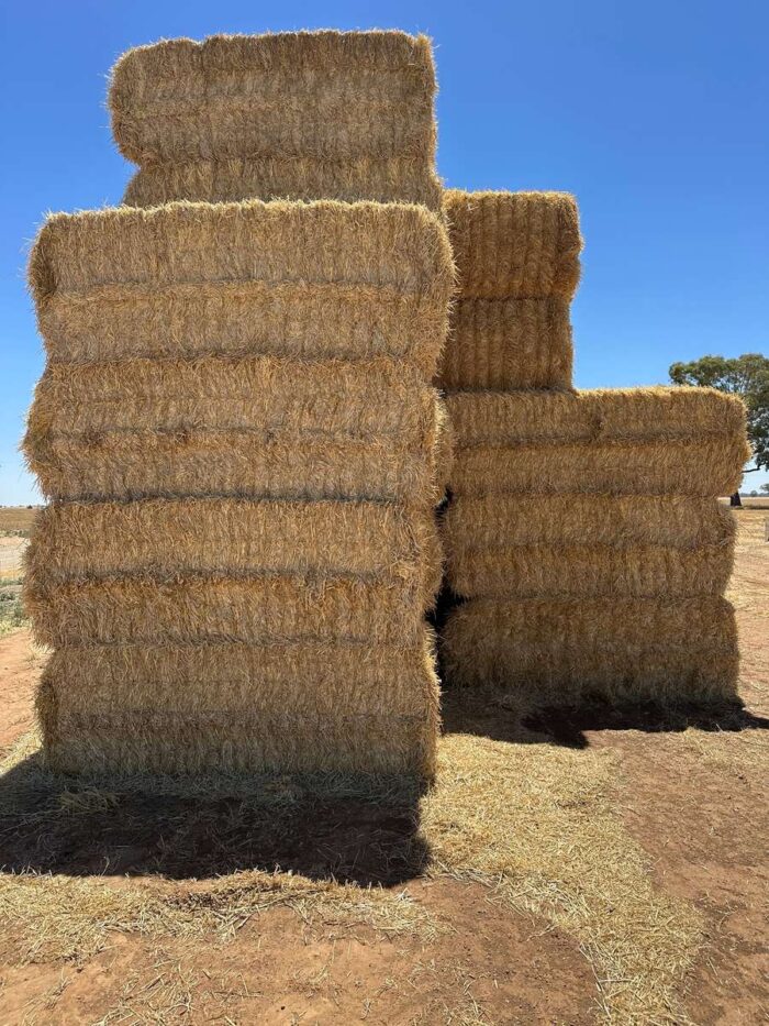 Batch 81439 Cereal Straw – Fodder Link Website