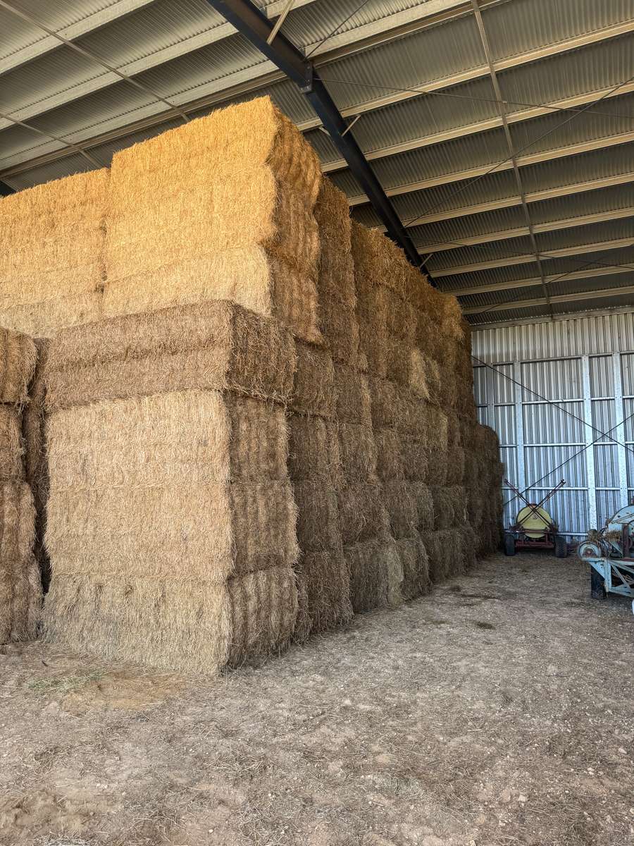 Batch 4990788000209502001 Image