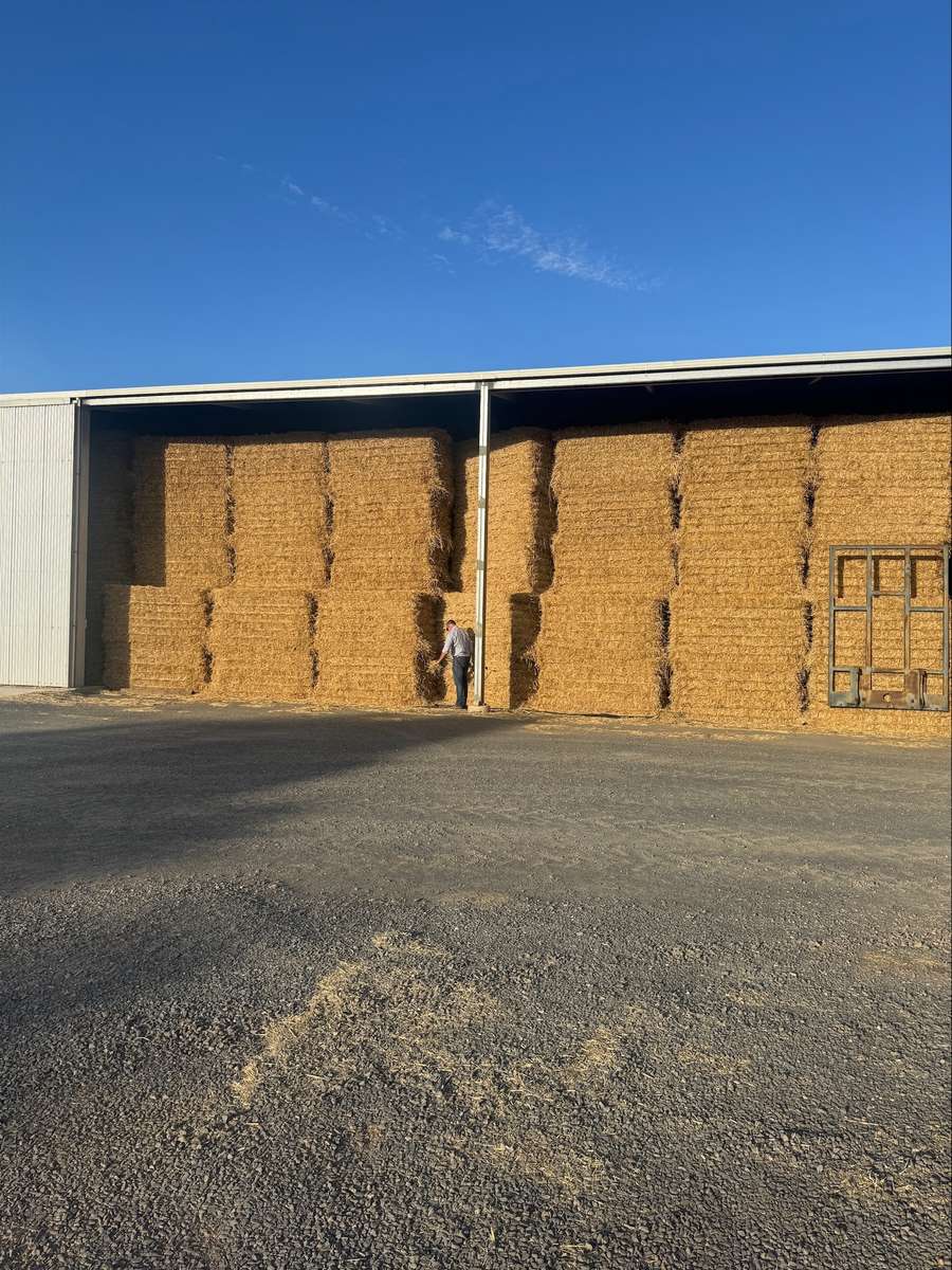 Batch 4990788000209847001 Image