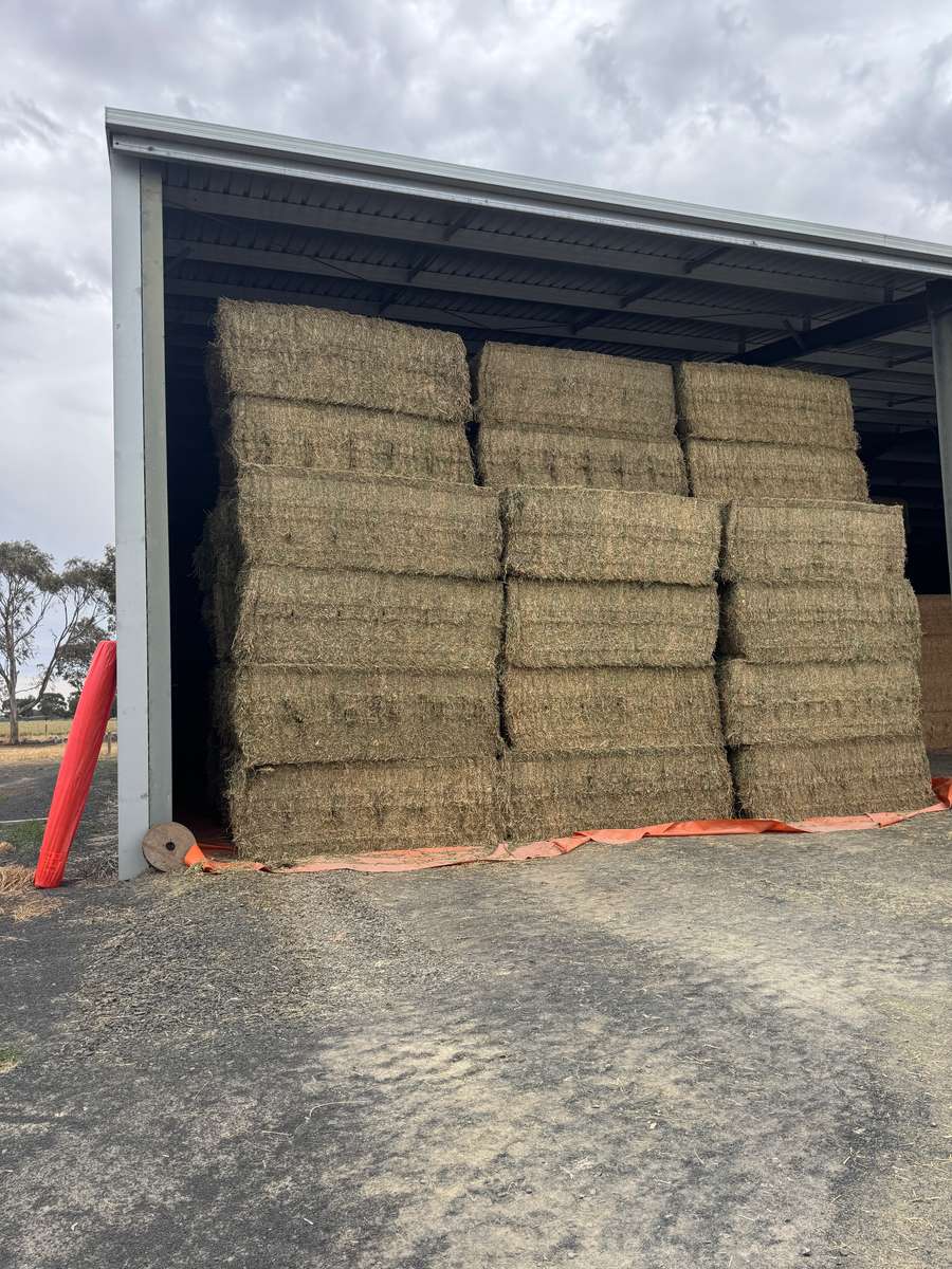 Batch 4990788000209728001 Image