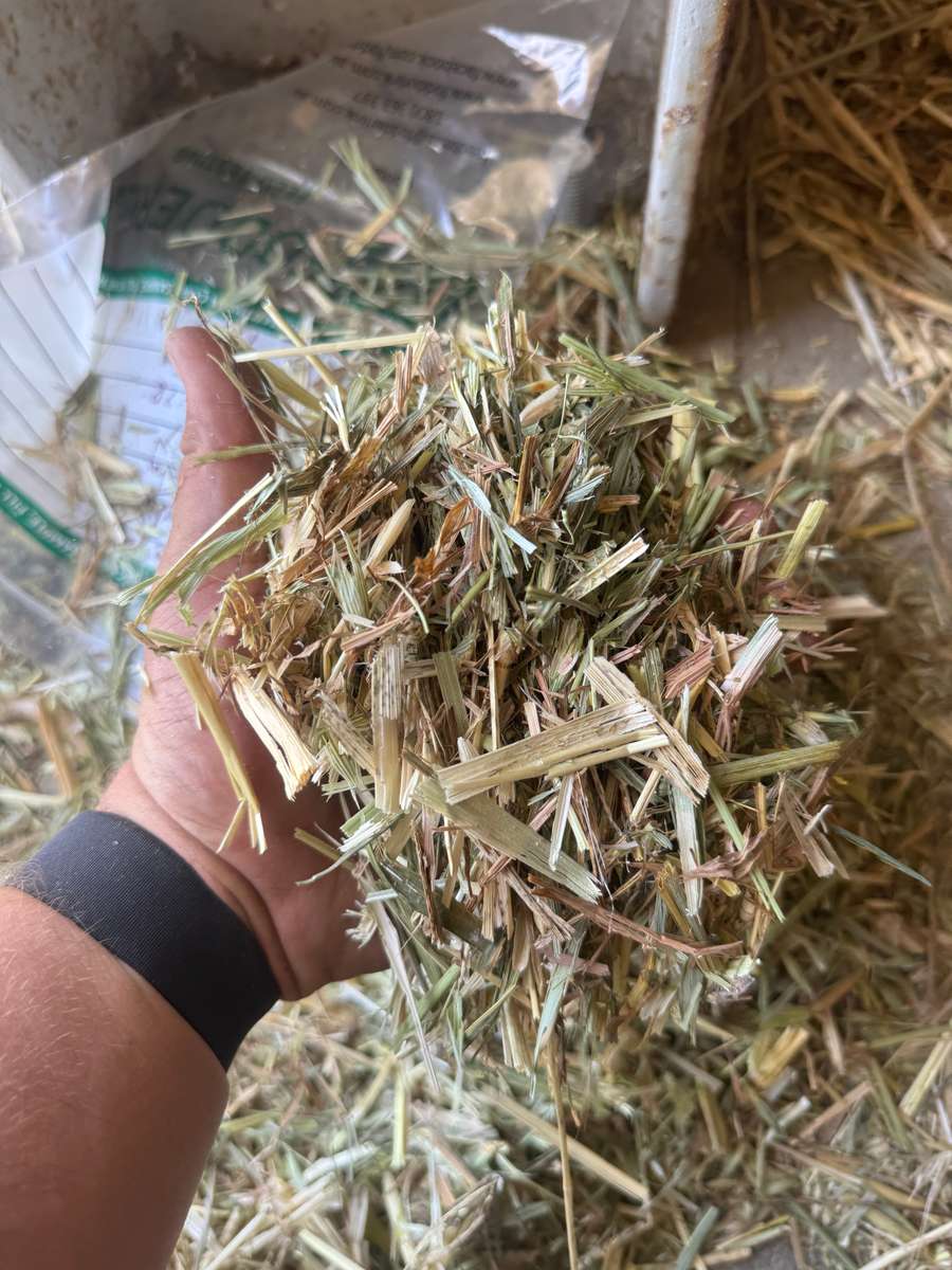 Batch 4990788000210097023 Image