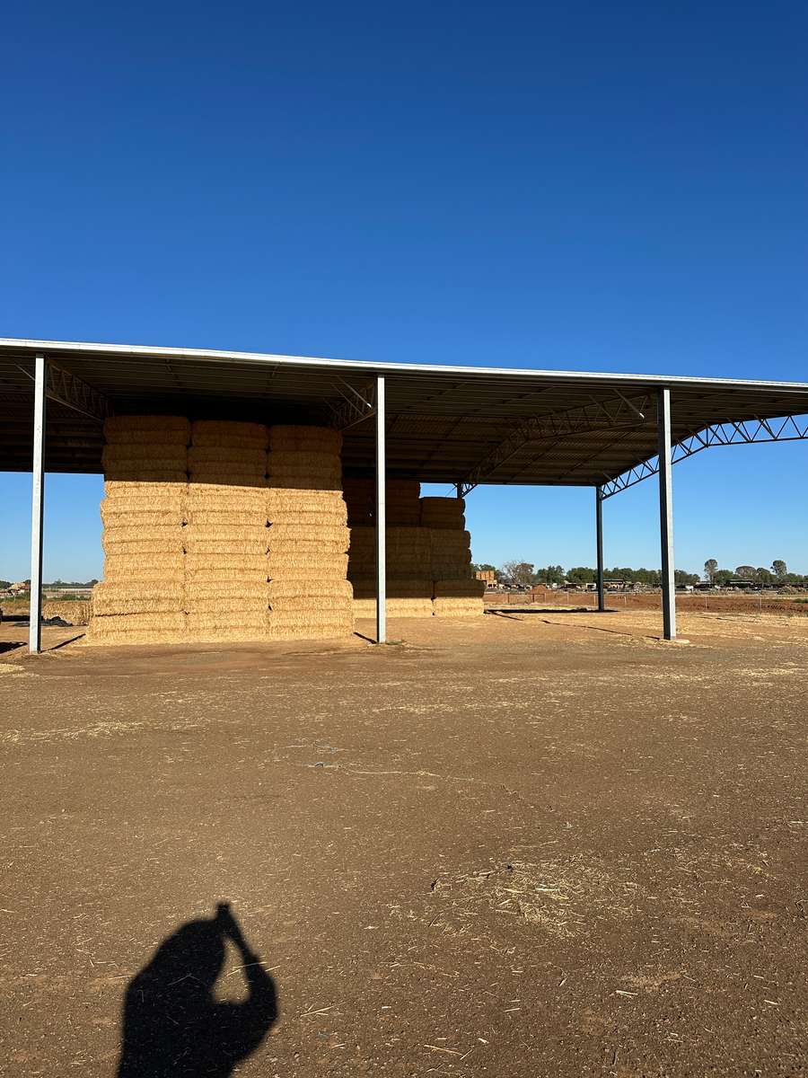 Batch 4990788000212996001 Image