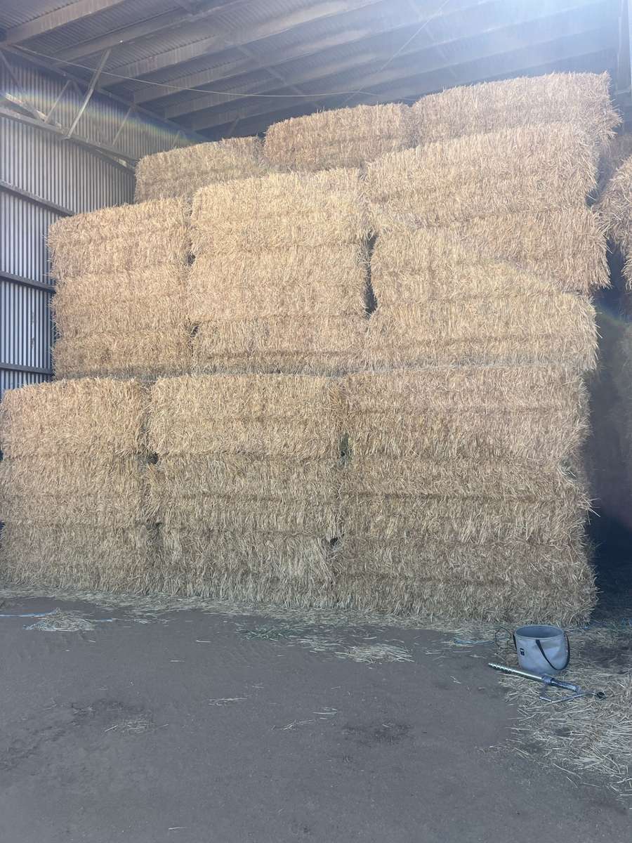 Batch 4990788000205197987 Image