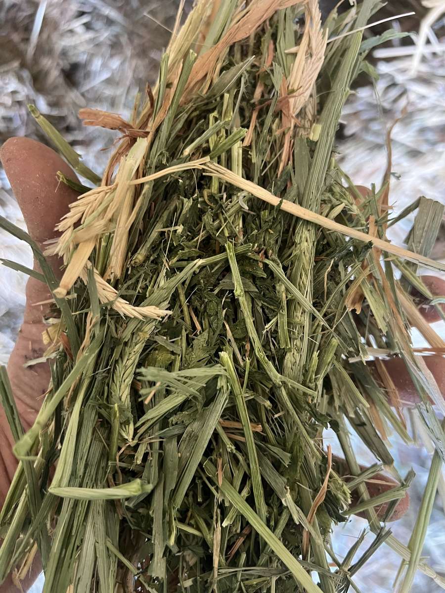 Batch 4990788000205197987 Image