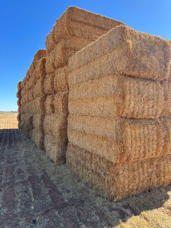 Batch 81447 Cereal Straw – Fodder Link Website