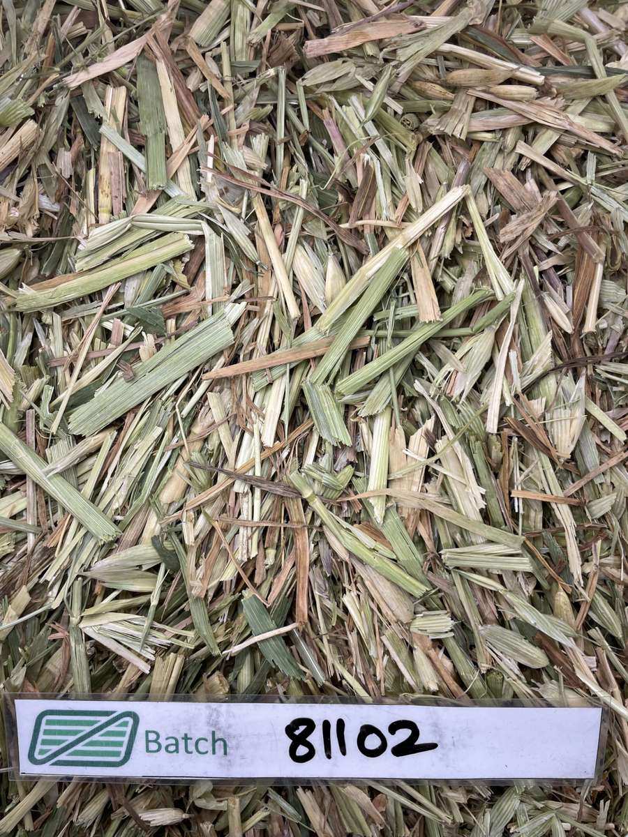 Batch 4990788000201322090 Image