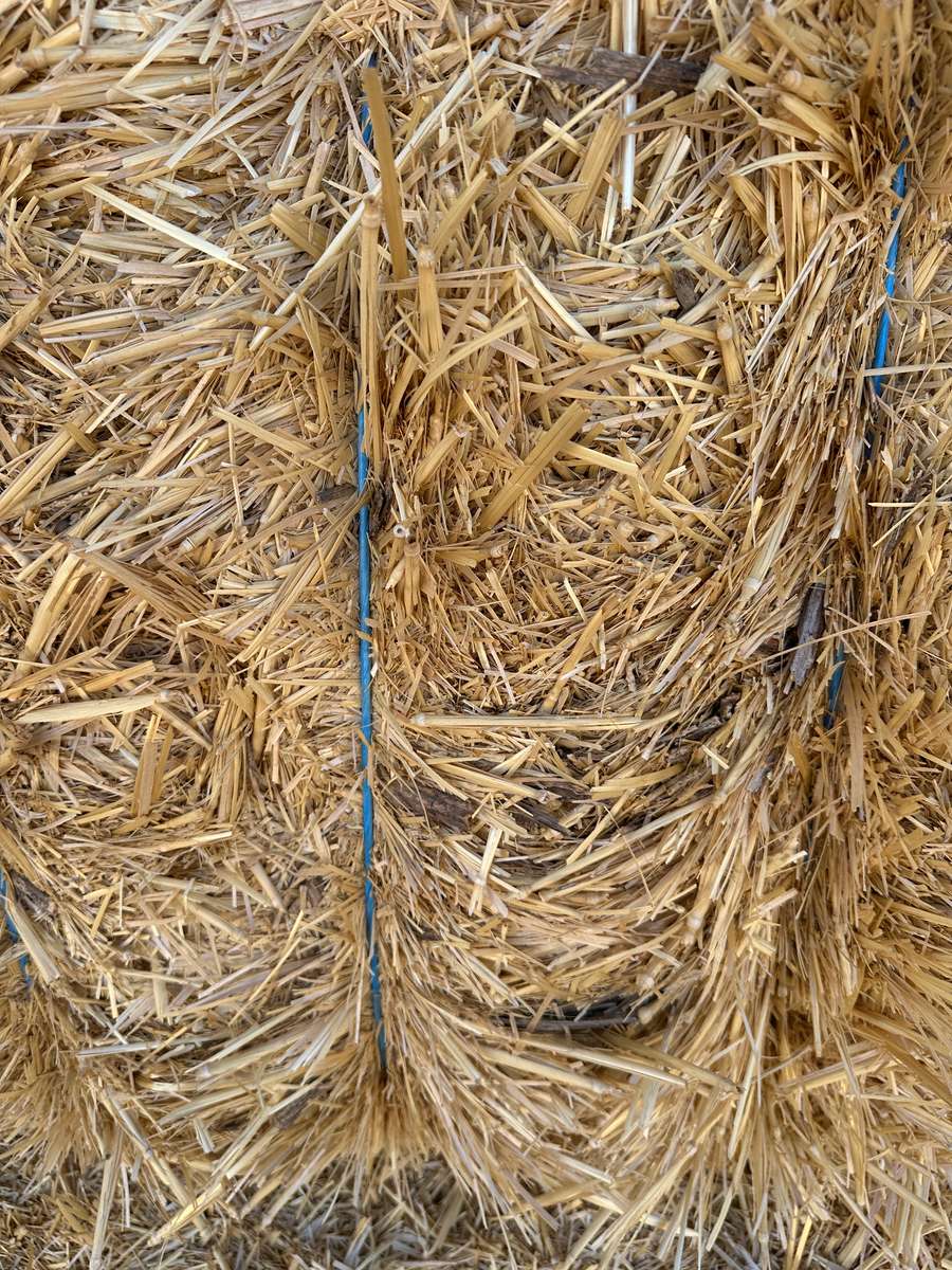 Batch 4990788000213052001 Image