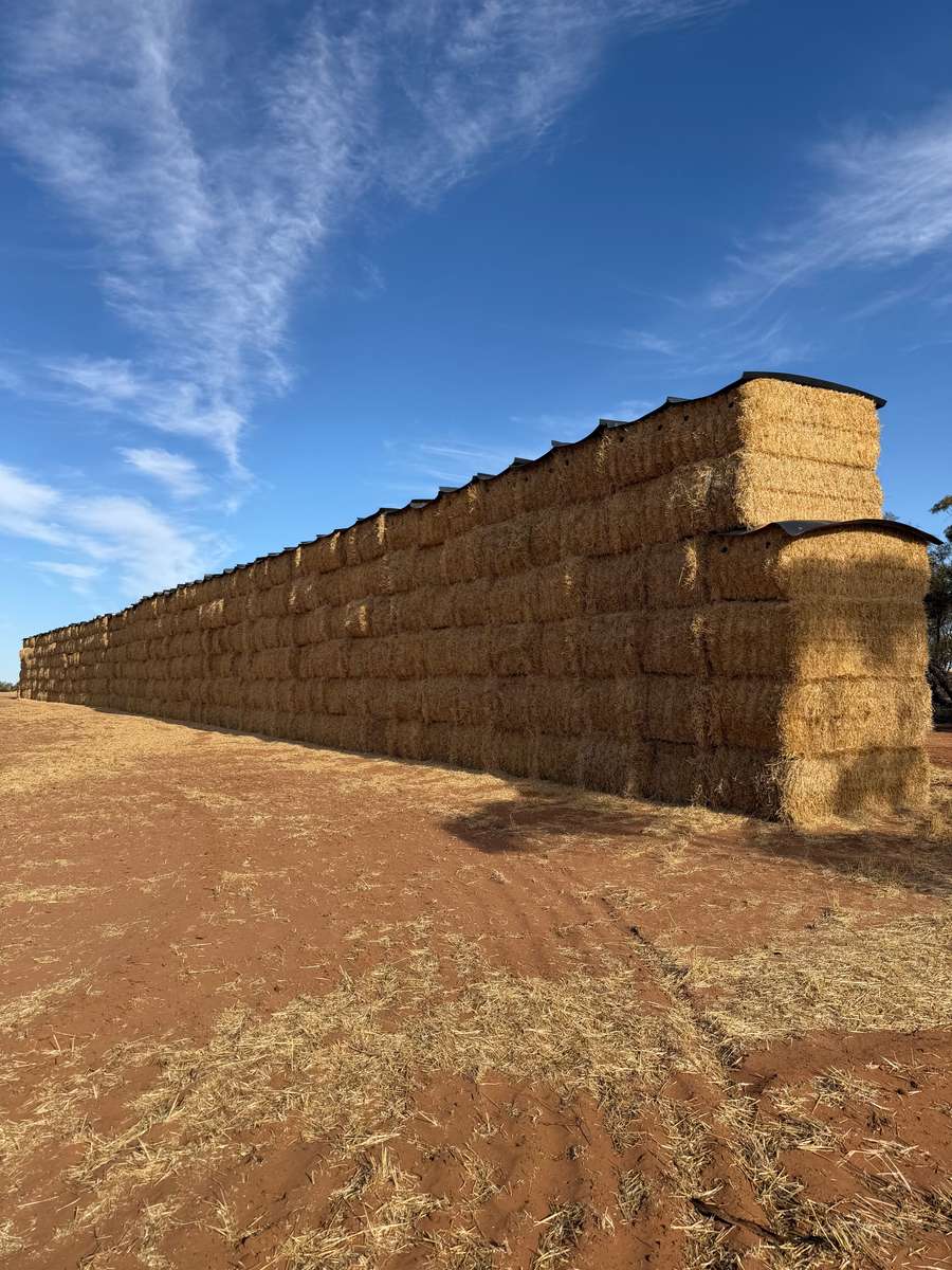 Batch 4990788000214396001 Image