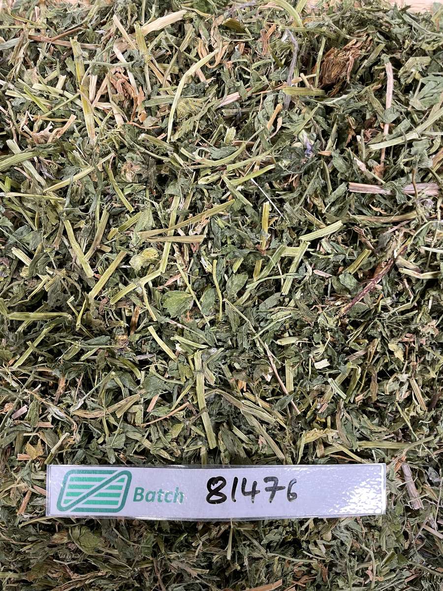 Batch 4990788000214153001 Image