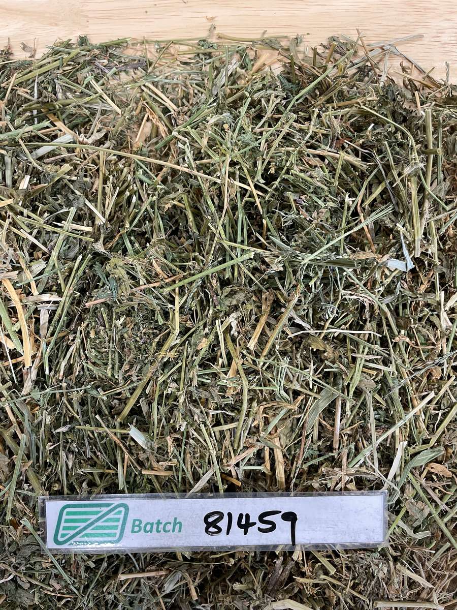 Batch 4990788000213188029 Image