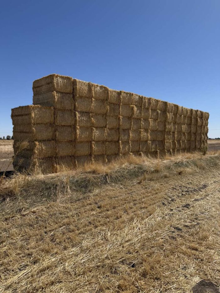 Batch 81466 Cereal Straw – Fodder Link Website