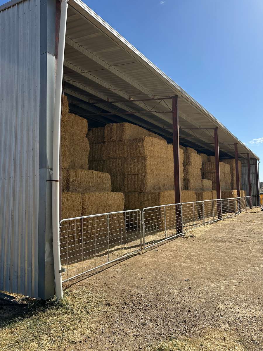 Batch 4990788000213146001 Image