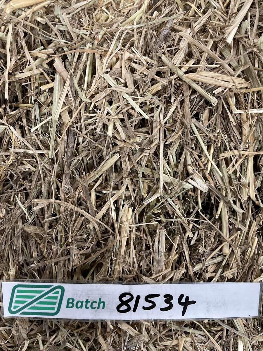 Batch 4990788000215616001 Image