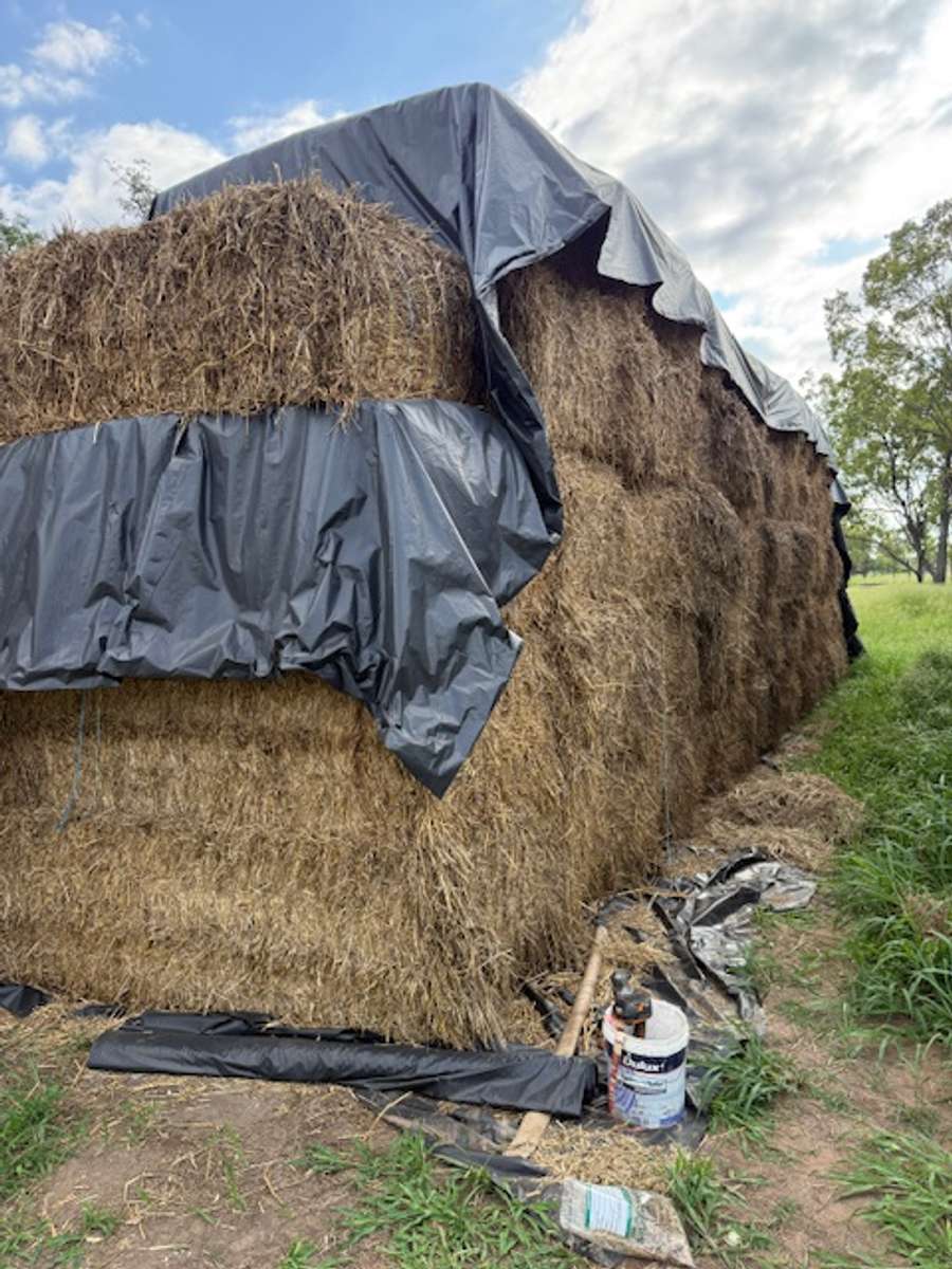 Batch 4990788000213233043 Image