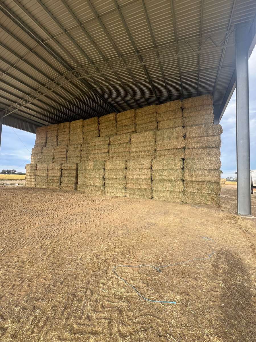 Batch 4990788000201343090 Image