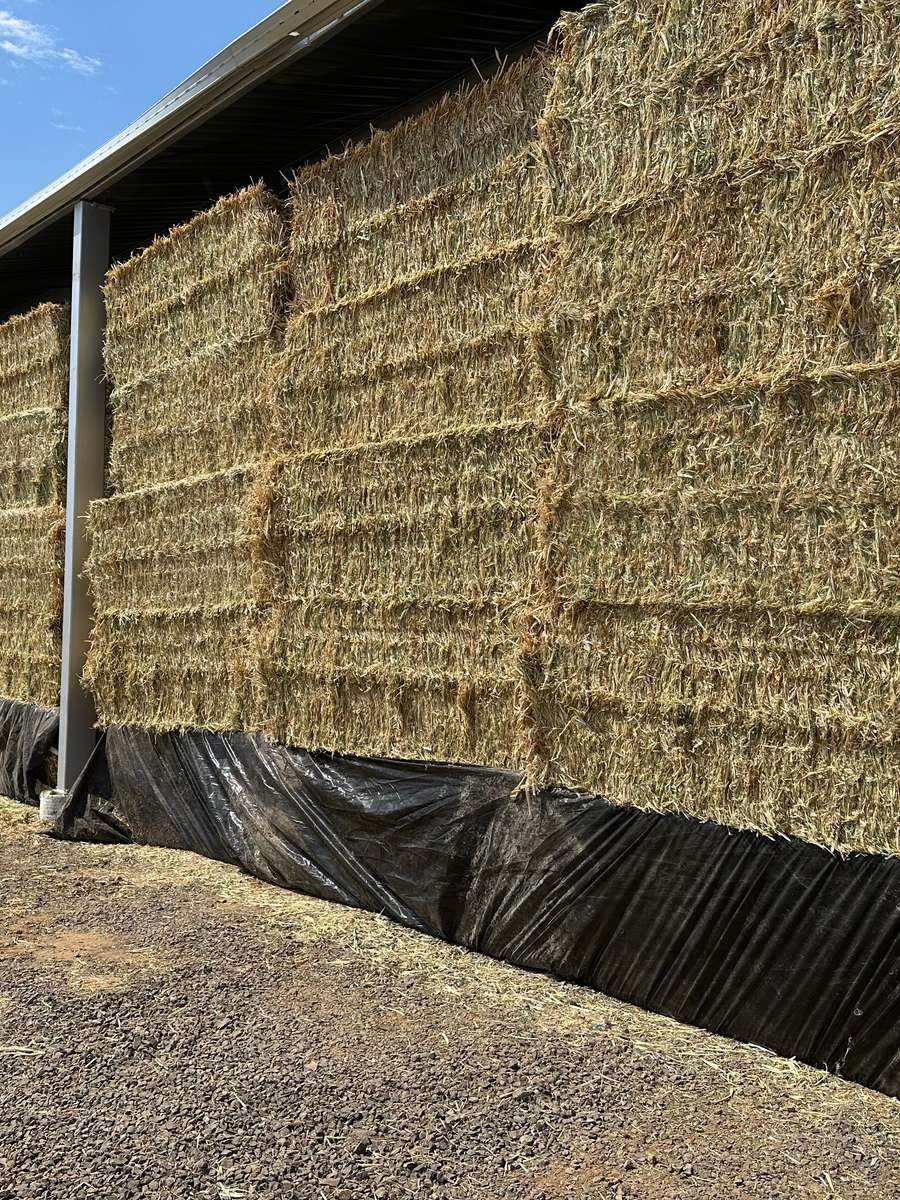 Batch 4990788000199493022 Image